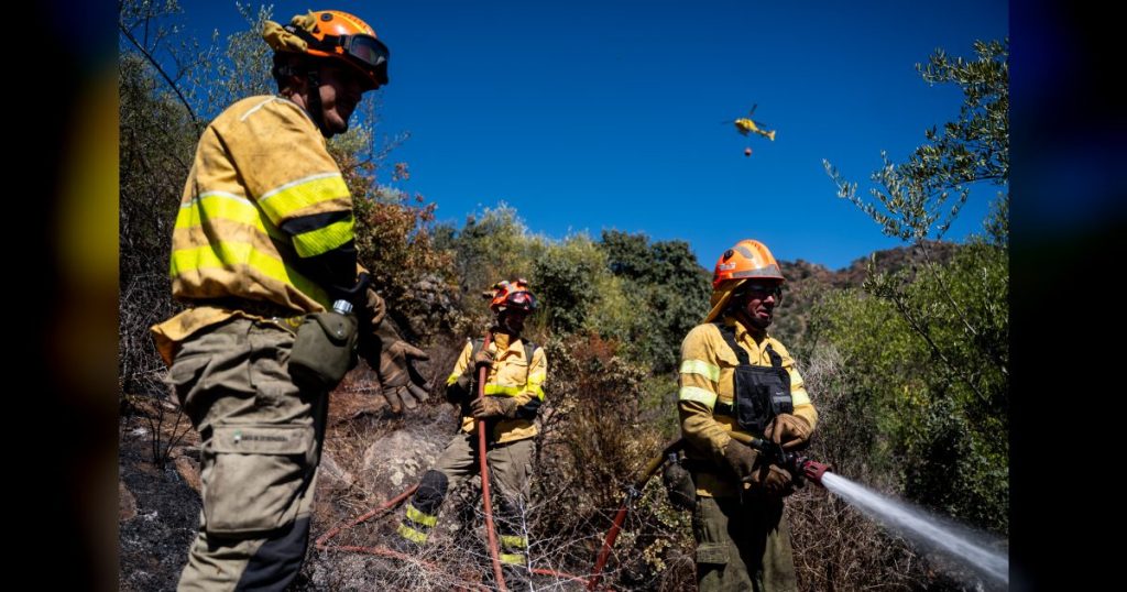 El Plan Infoex interviene en 15 incendios forestales en la última semana