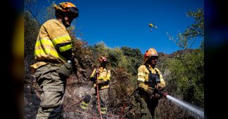 El Plan Infoex interviene en 15 incendios forestales en la última semana