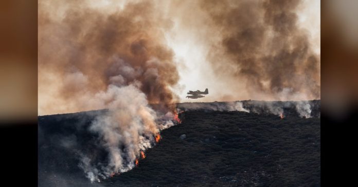 El Plan Infoex interviene en 31 incendios forestales en la última semana