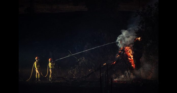 El Plan Infoex interviene en 34 incendios forestales en la última semana