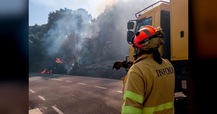El Plan Infoex interviene en una veintena de incendios forestales en la última semana