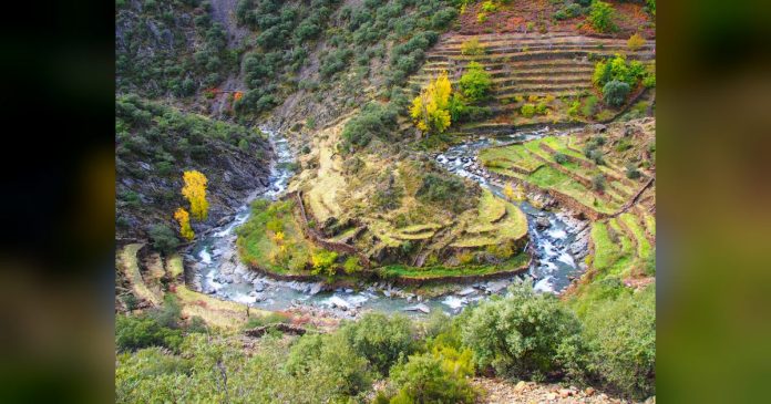 Extremadura presenta en Castilla y León su oferta de turismo de naturaleza y se reúne con turoperadores internacionales