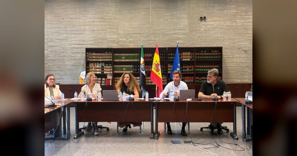 La Mesa Sectorial de Personal Docente aprueba la creación de equipos específicos para atender al alumnado con altas capacidades