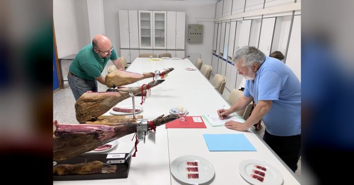 Un total de ocho jueces expertos deciden los seis jamones finalistas al galardón del 'Premio Espiga Jamones Ibéricos DOP Dehesa de Extremadura'