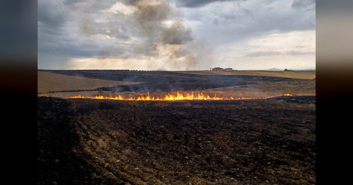 El Plan Infoex interviene en 25 incendios forestales en la última semana