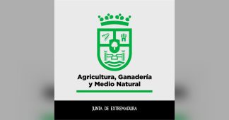 La Junta aclara que el positivo de brucelosis detectado en una explotación de Alburquerque no constituye un quinto foco de la enfermedad, sino que forma parte del mismo foco ya identificado