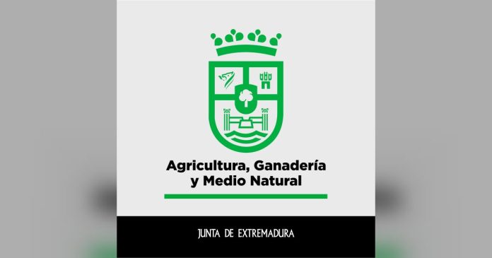 La Junta aclara que el positivo de brucelosis detectado en una explotación de Alburquerque no constituye un quinto foco de la enfermedad, sino que forma parte del mismo foco ya identificado