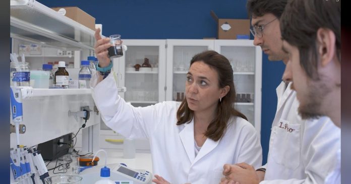 La Oficina de Proyectos Europeos de la Junta inicia una campaña para posicionar la I+D+i extremeña en Europa