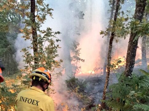 La Junta celebrará las pruebas de la oposición para 195 bomberos forestales y 29 agentes del Medio Natural entre abril y mayo