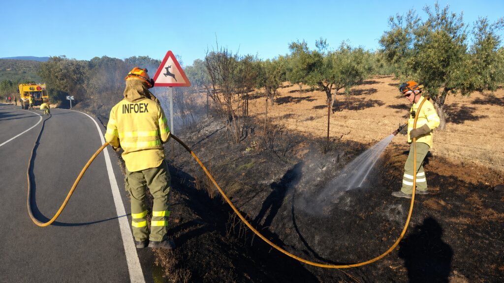 Casi 2.200 aspirantes se examinan este fin de semana para 195 plazas de bombero forestal y 29 de agente del Medio Natural