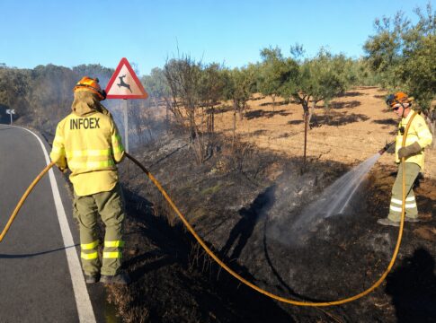 Casi 2.200 aspirantes se examinan este fin de semana para 195 plazas de bombero forestal y 29 de agente del Medio Natural