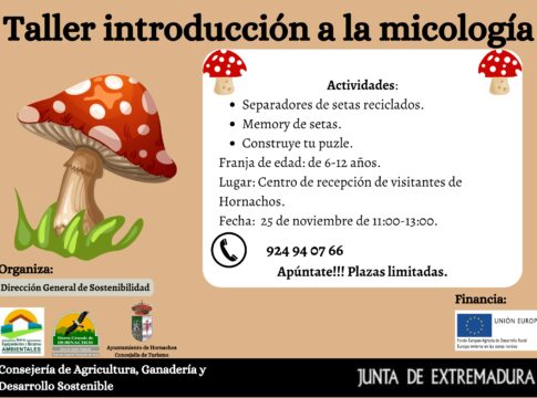La Dirección General de Sostenibilidad organiza con el Ayuntamiento de Hornachos la VII edición del Otoño Senderista Micológico