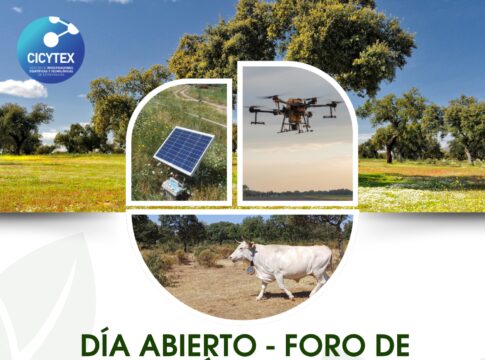 CICYTEX organiza una jornada de campo en la dehesa con propuestas innovadoras públicas y privadas para mejorar la gestión del ecosistema