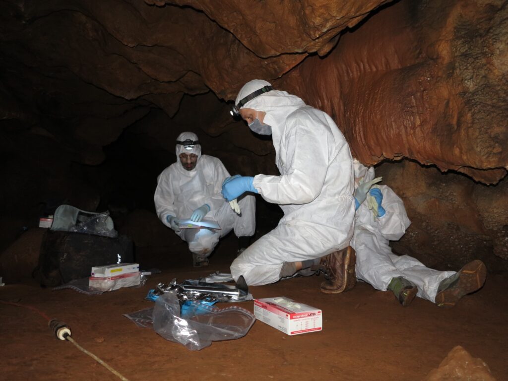Un proyecto arqueológico impulsado por la Junta de Extremadura revela que el ADN humano puede preservarse en las paredes de las cuevas
