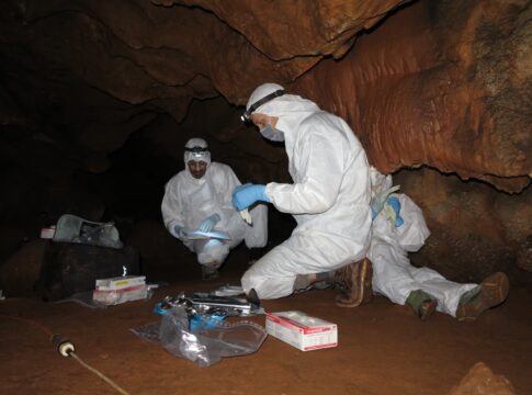 Un proyecto arqueológico impulsado por la Junta de Extremadura revela que el ADN humano puede preservarse en las paredes de las cuevas