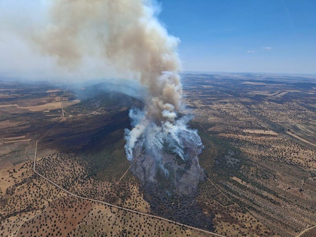 El Plan INFOEX ha intervenido en 31 incendios forestales durante esta semana de época de peligro alto