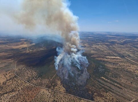 El Plan INFOEX ha intervenido en 31 incendios forestales durante esta semana de época de peligro alto