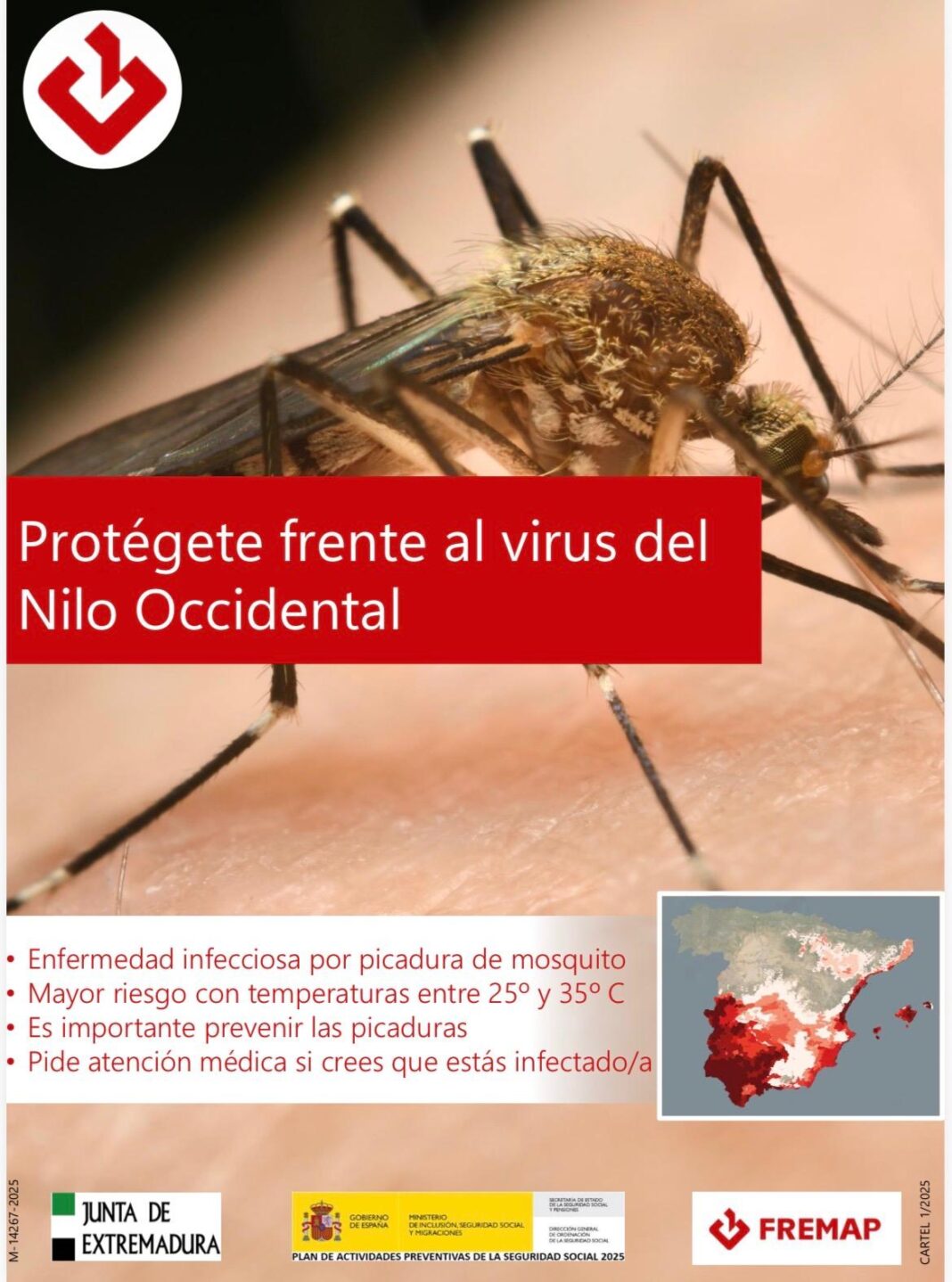 La Junta de Extremadura insiste a los empleados públicos sobre la necesaria precaución frente al Virus del Nilo Occidental