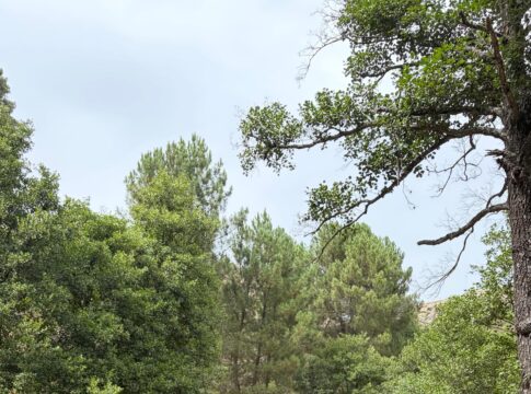 Extremadura se reafirma como destino seguro para mujeres que viajan en solitario