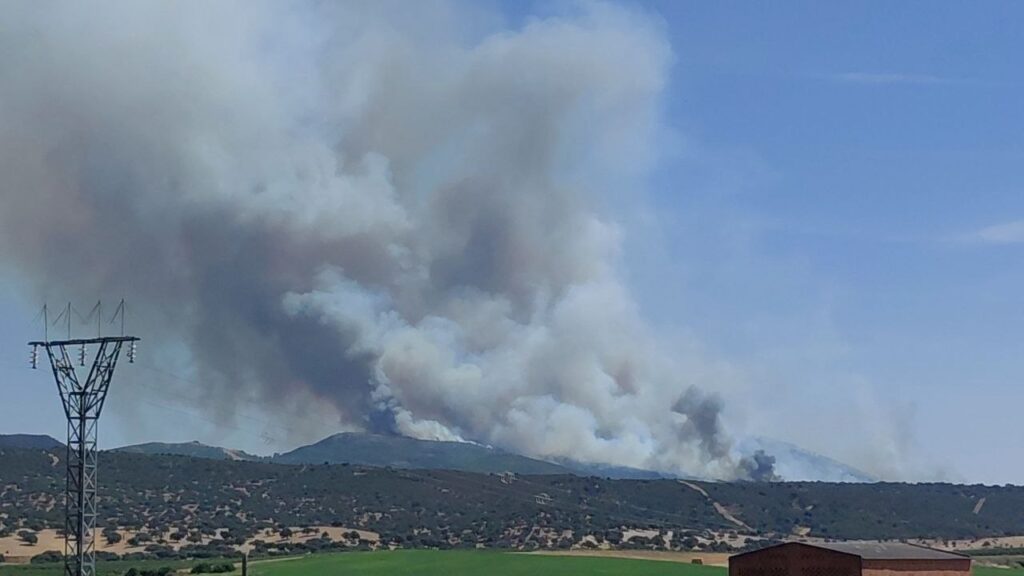 La Junta de Extremadura declara la situación Operativa 1 del Plan Infocaex por el incendio forestal de Casas de Millán y ordena la evacuación preventiva de esta localidad y de Grimaldo