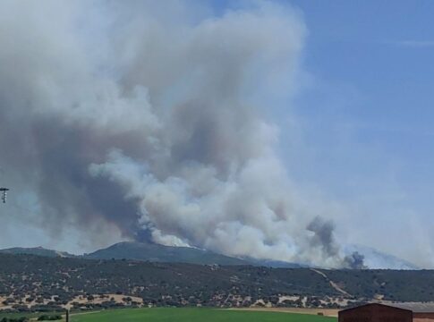 La Junta de Extremadura declara la situación Operativa 1 del Plan Infocaex por el incendio forestal de Casas de Millán y ordena la evacuación preventiva de esta localidad y de Grimaldo