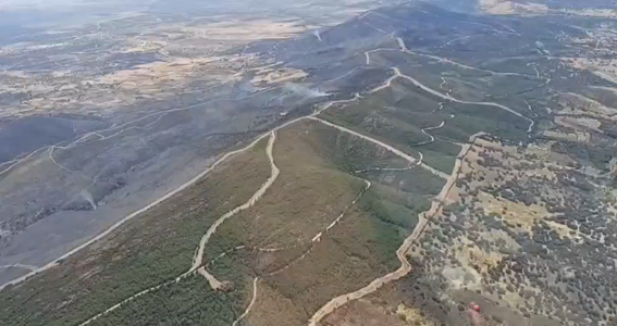 La Junta de Extremadura da por controlado el incendio de Casas de Millán