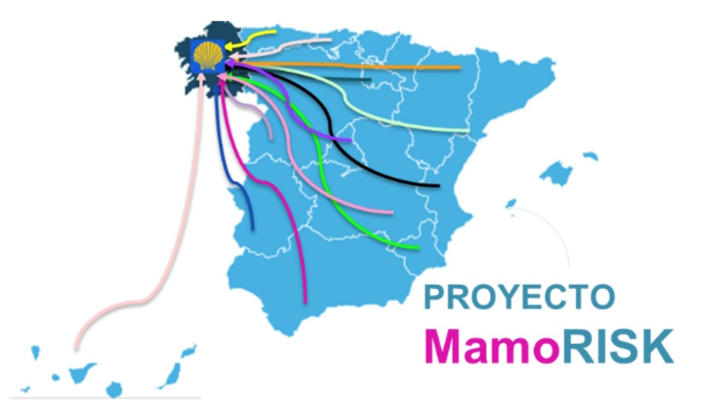 Extremadura participa en MamoRisk, el primer estudio español para predecir el riesgo personalizado de cáncer de mama