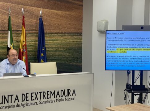 Agricultura controla los brotes de brucelosis y confirma un caso aislado de lengua azul que no genera alarma