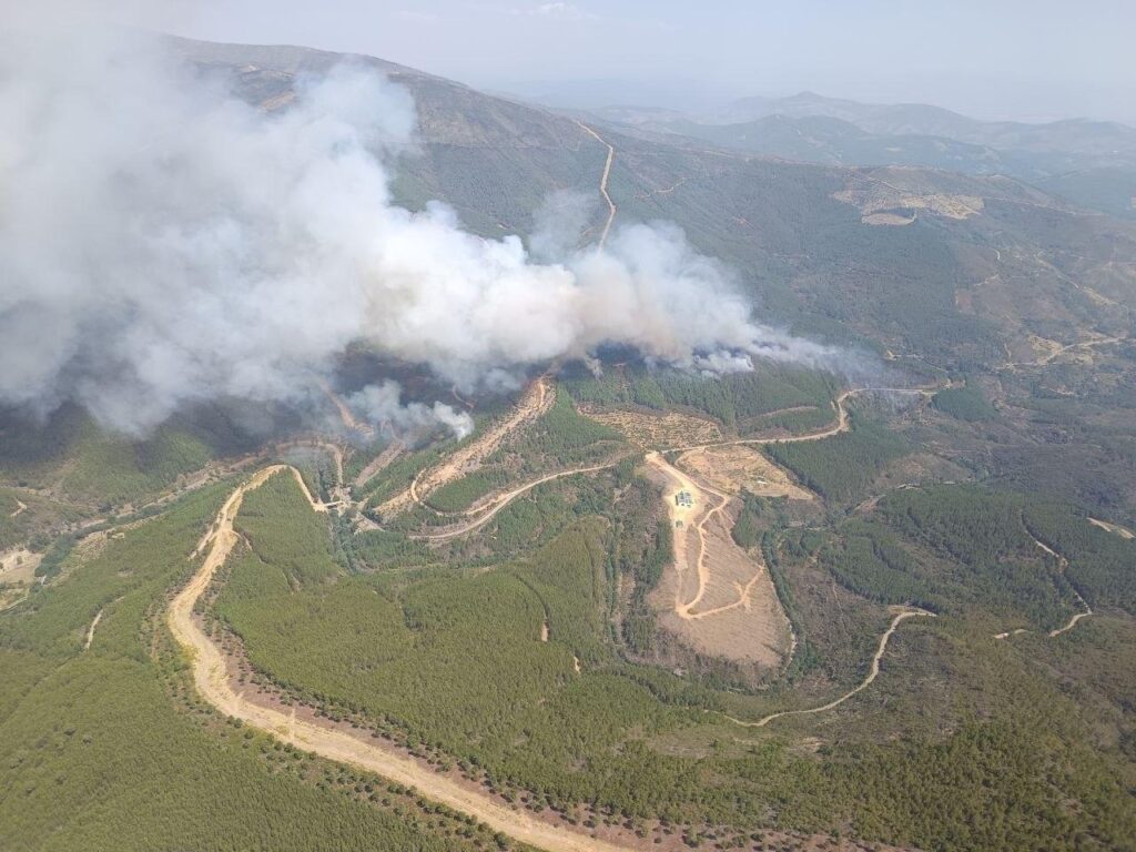 (ACTUALIZACIÓN) La Junta de Extremadura amplía la situación operativa 2 del Plan Infocaex por el incendio forestal de Pinofranqueado