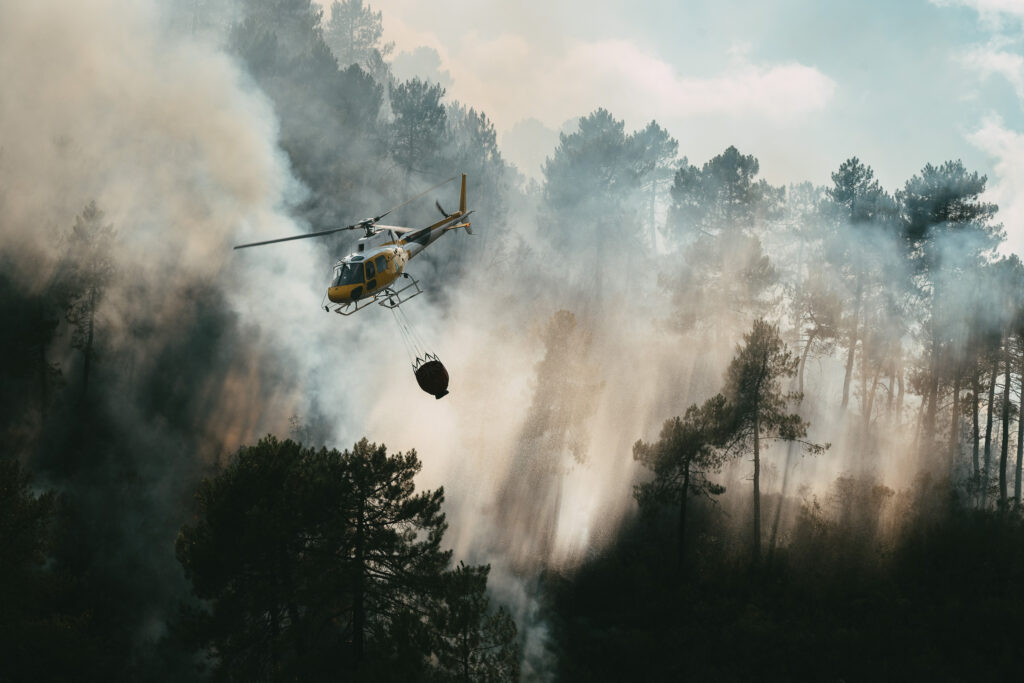 El Plan Infoex interviene en 20 incendios forestales en la última semana