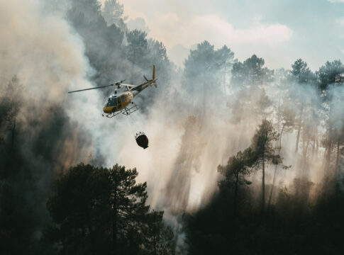 El Plan Infoex interviene en 20 incendios forestales en la última semana