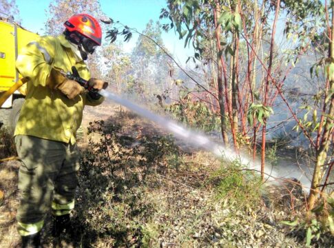El Plan Infoex interviene en 19 incendios forestales en la última semana, trece en Badajoz y seis en Cáceres